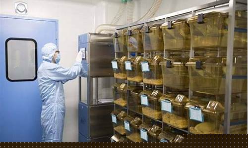 昆山动物实验室装修(昆山生物实验室家具)